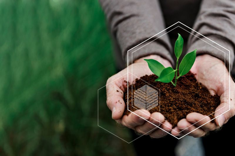 Maquinarias Agrícolas, El Peñón | Sustentabilidad